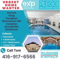 Urgent Home Wanted! | CatchFree.ca